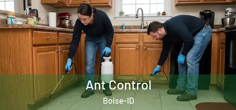 Ant Control Boise-ID
