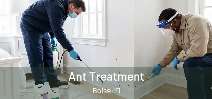 Ant Treatment Boise-ID