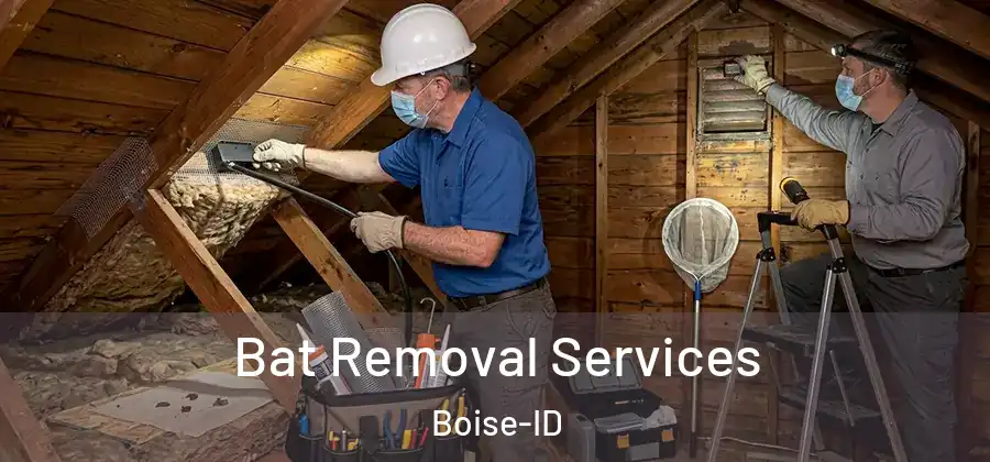  Bat Removal Services Boise-ID