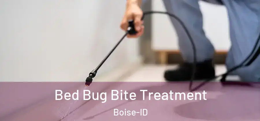  Bed Bug Bite Treatment Boise-ID