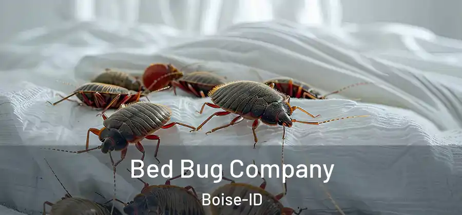  Bed Bug Company Boise-ID