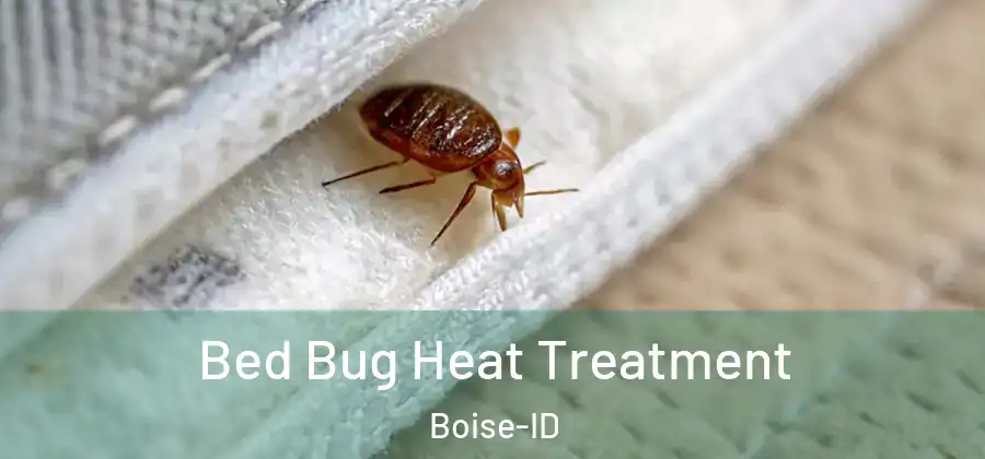  Bed Bug Heat Treatment Boise-ID