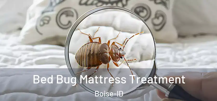  Bed Bug Mattress Treatment Boise-ID