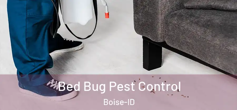  Bed Bug Pest Control Boise-ID
