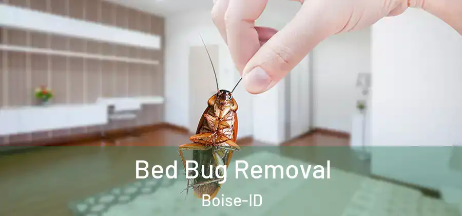  Bed Bug Removal Boise-ID
