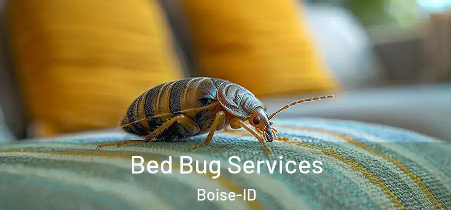  Bed Bug Services Boise-ID