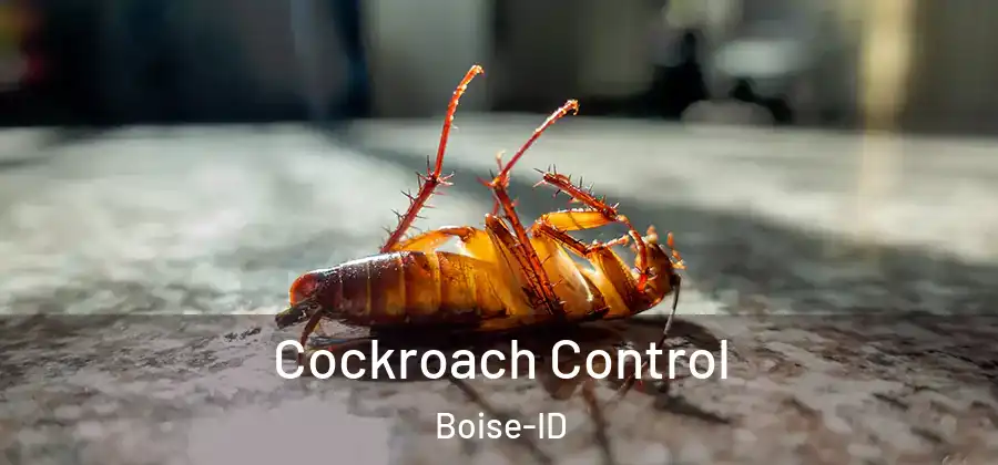  Cockroach Control Boise-ID