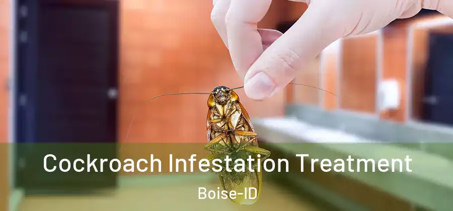  Cockroach Infestation Treatment Boise-ID