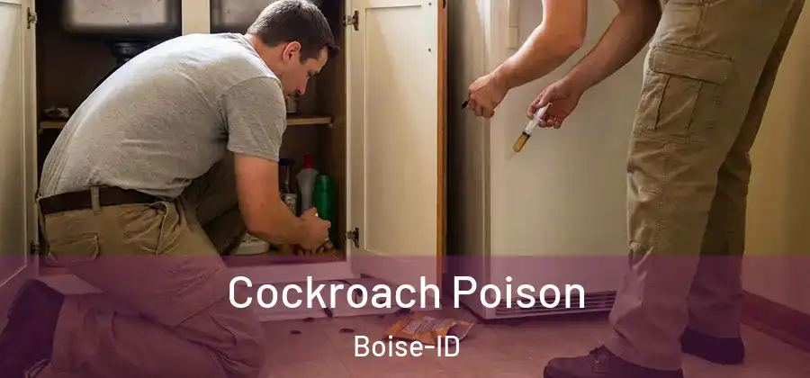  Cockroach Poison Boise-ID