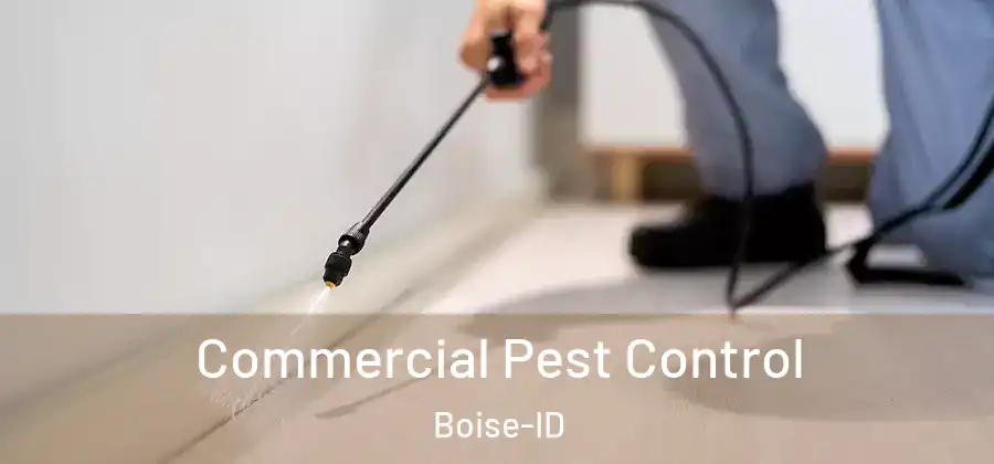  Commercial Pest Control Boise-ID