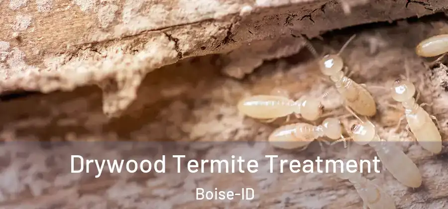  Drywood Termite Treatment Boise-ID