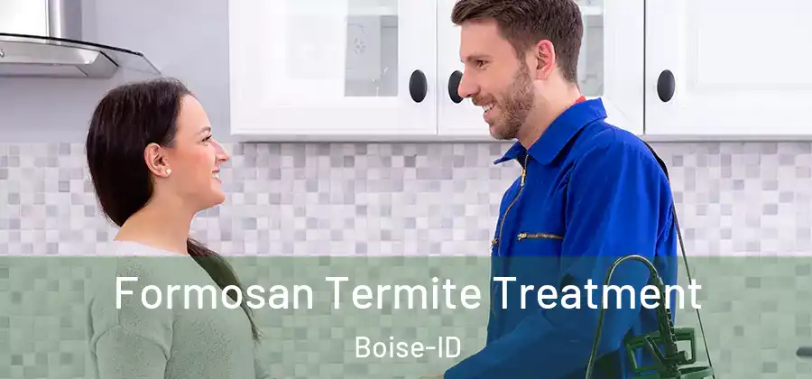  Formosan Termite Treatment Boise-ID