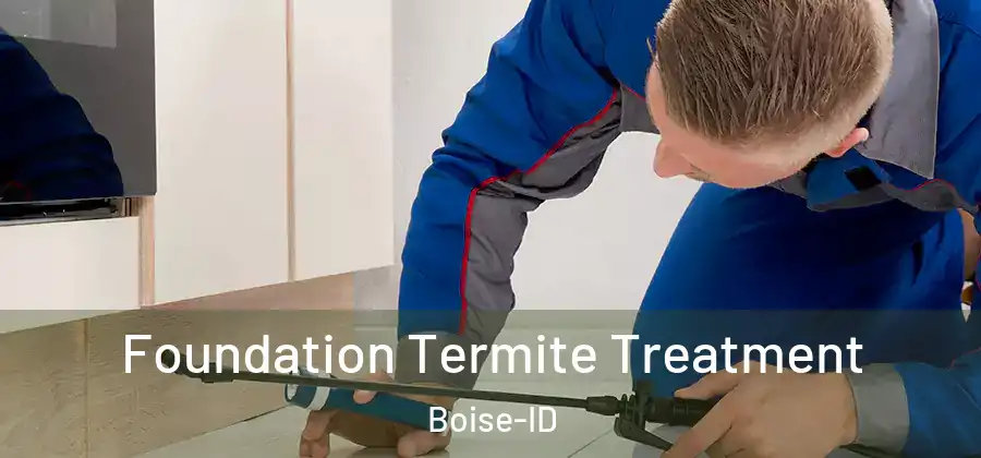  Foundation Termite Treatment Boise-ID