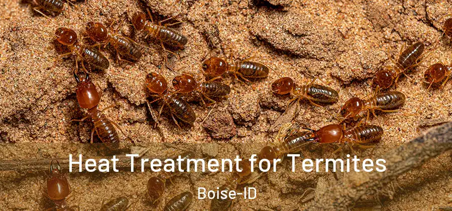  Heat Treatment for Termites Boise-ID