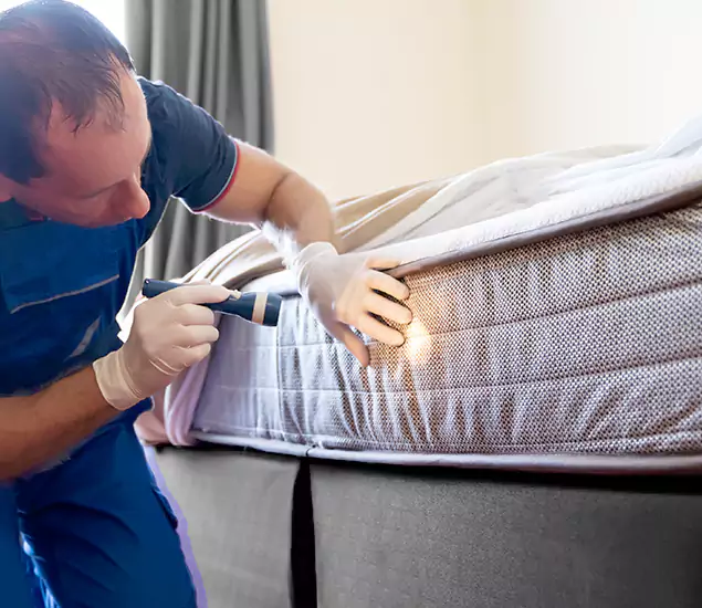 Trusted Bed Bug Cost Experts in Boise, ID