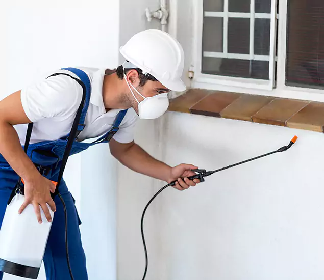 Your Professional Cockroach Exterminator in Boise, ID