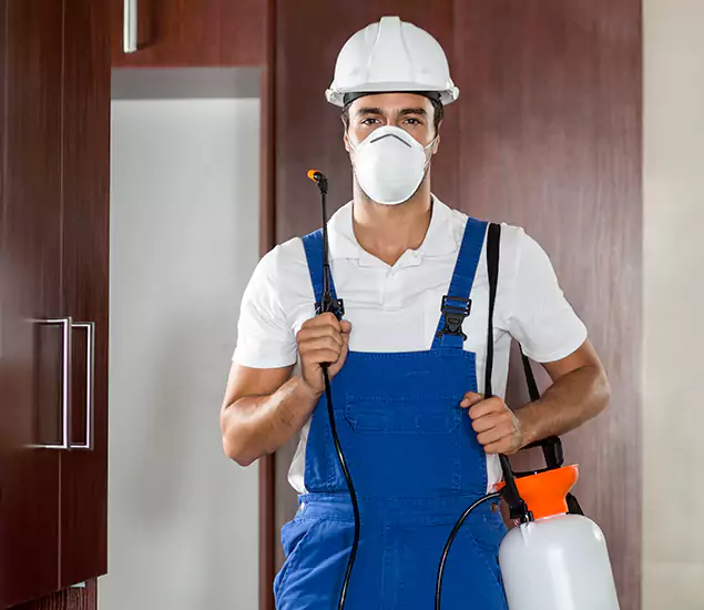 Trusted Exterminator and Pest Exterminator Professionals in Boise, ID