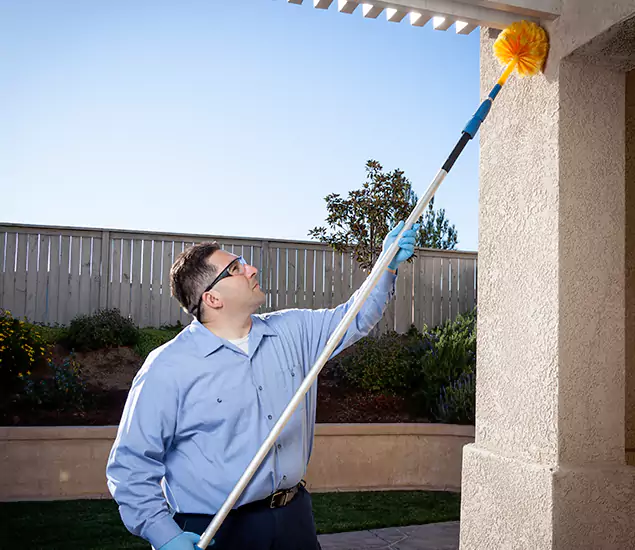 Trusted Experts in Boise ID for Formosan Termite Treatment and Black Termite Control