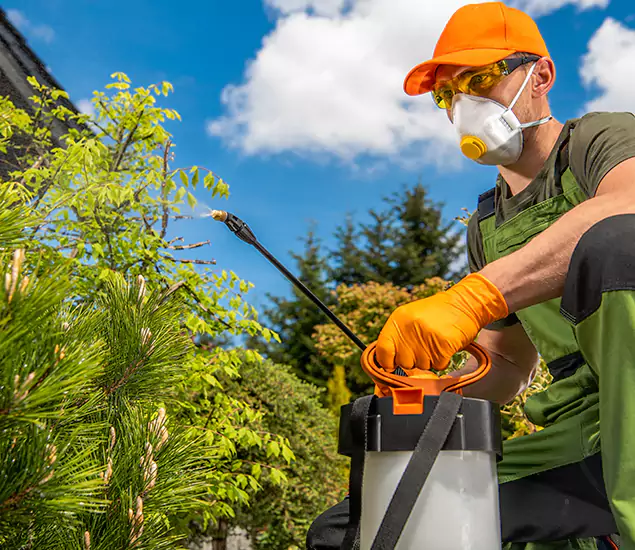 Your Best Bug Spray for Home Team in Boise, ID