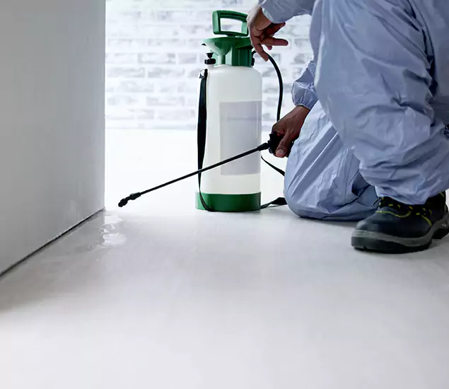 Affordable Pest Control Experts in Boise, ID