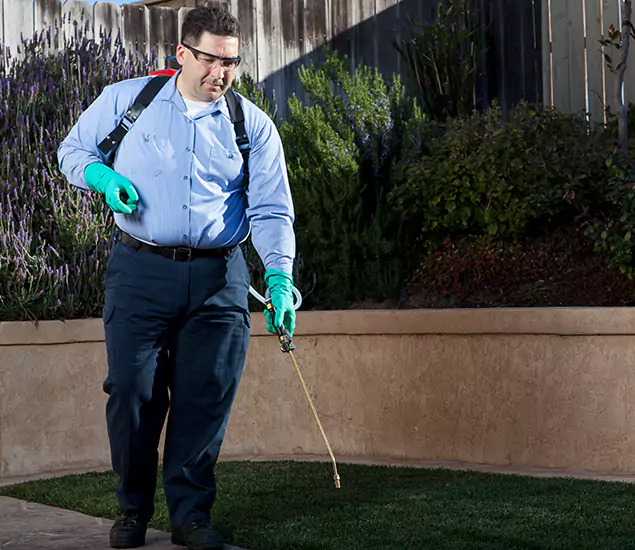 Reliable Termite Barrier Treatment Experts in Boise, ID
