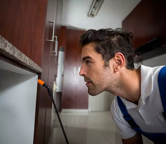 Termite Inspection Cost Experts You Can Trust in Boise, ID