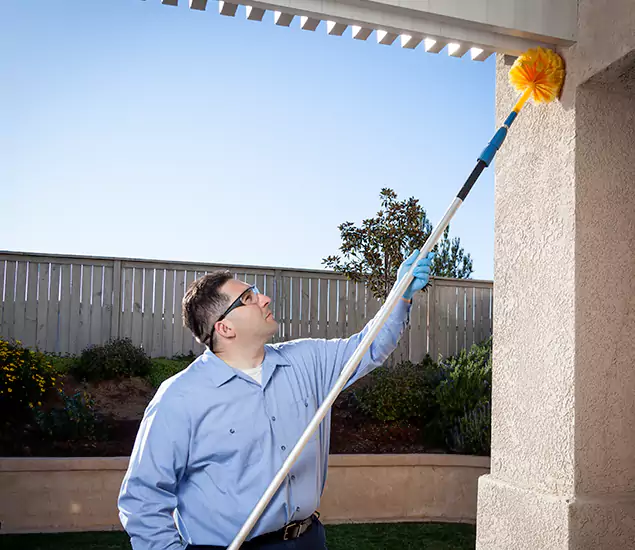 Your Trusted Wasp Removal Company in Boise, ID
