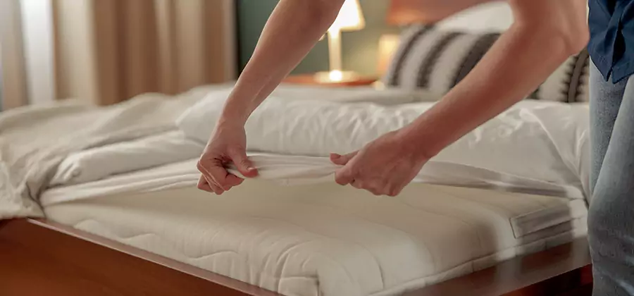 Bed Bug Extermination Services in Boise