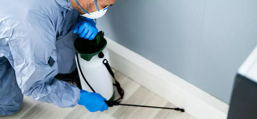 Fumigate Apartment Roaches in Boise