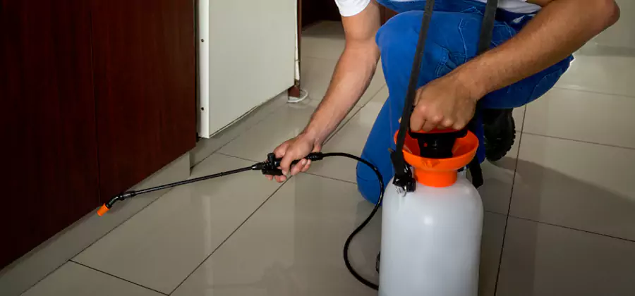 Indoor Mosquito Treatment in Boise