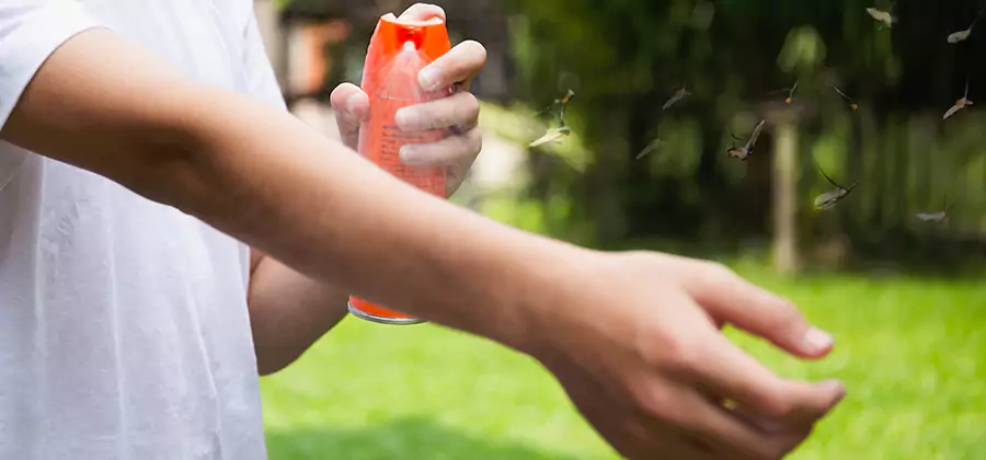 Mosquito and Tick Control Services in Boise