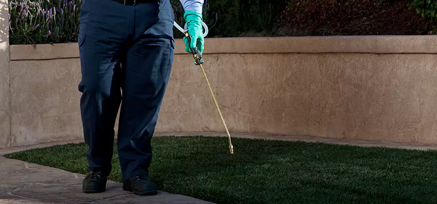Soil Treatment for New Construction Termites in Boise