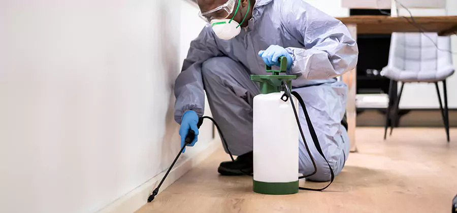 No Tent Termite Extermination With Electric Tool in Boise