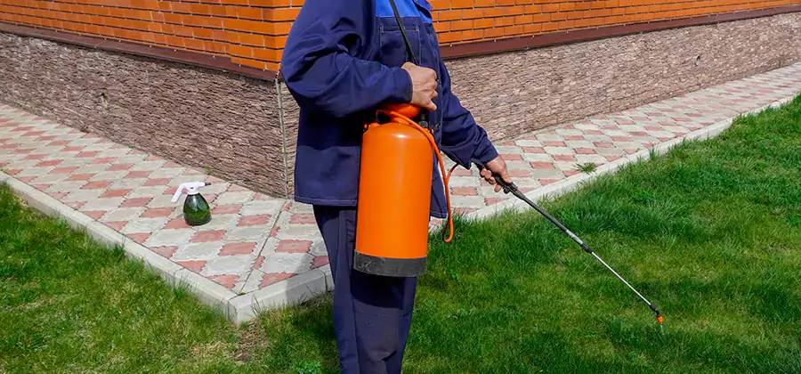 Non Toxic Termite Treatment in Boise