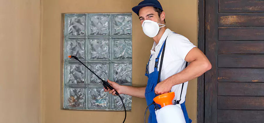 Physical Termite Barrier Installation in Boise