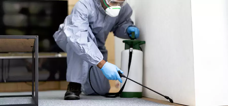 Wood Protection Termite Treatment in Boise