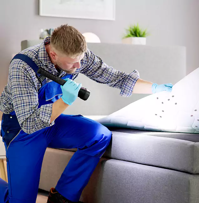 Why Choose Boise Pest Control Services for Bed Bug Exterminator Cost in Boise, ID?