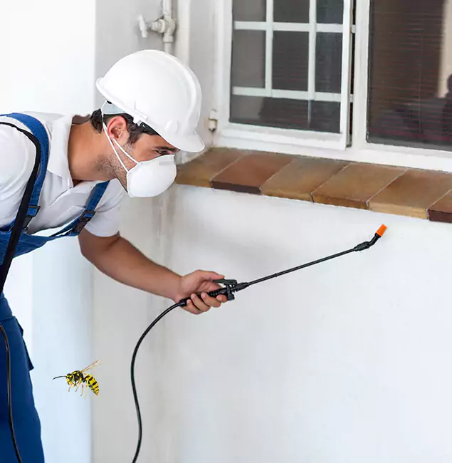Why Boise Property Owners Choose Boise Pest Control Services for Bee Nest Removal?
