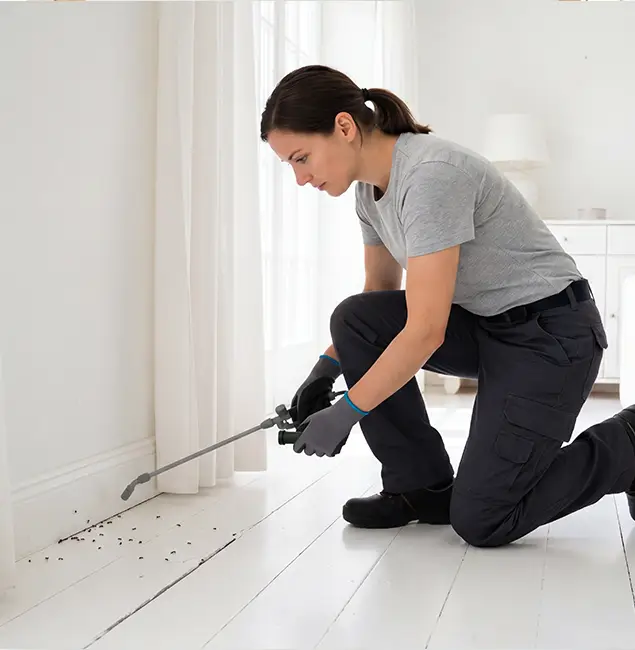 Why Boise, ID Property Owners Trust Boise Pest Control Services for Fire Ant Control?