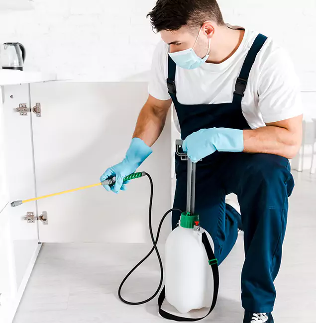 Why Choose Boise Pest Control Services for Indoor Pest Control in Boise, ID?