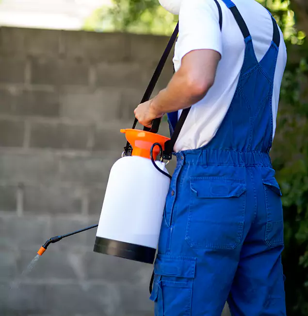 Why Boise Homeowners Rely on Boise Pest Control Services for Mosquito Control?
