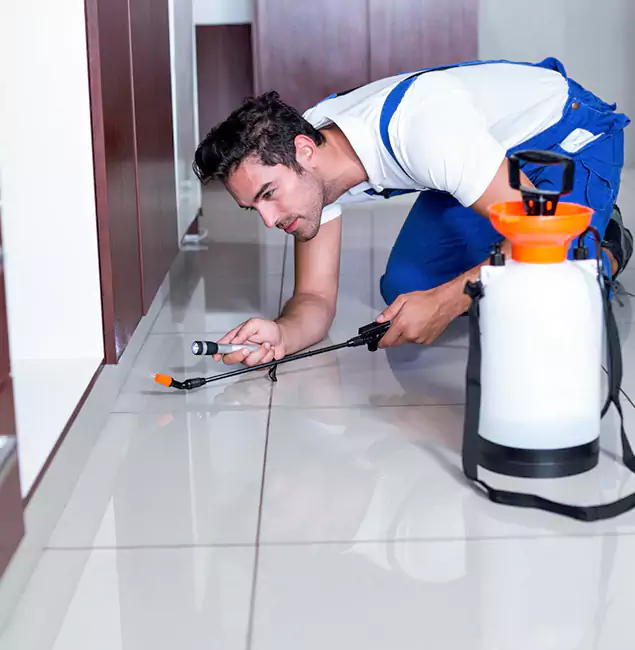 Why Boise Pest Control Services Is the Proven Choice in Boise, ID?
