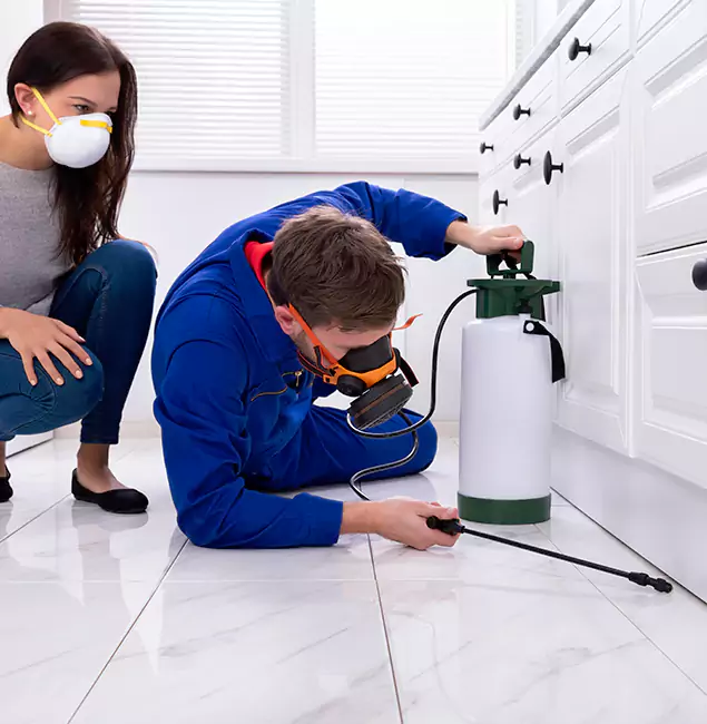 Why Choose Boise Pest Control Services in Boise, ID?