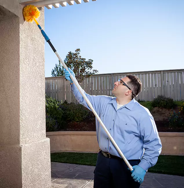 Why Choose Boise Pest Control Services for Pest Control Services in Boise, ID?