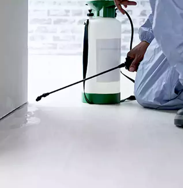 Why Choose Boise Pest Control Services for Rat Exterminator in Boise, ID?