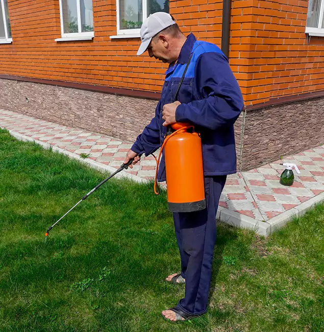 Why Choose Boise Pest Control Services for Residential Pest Control in Boise, ID?