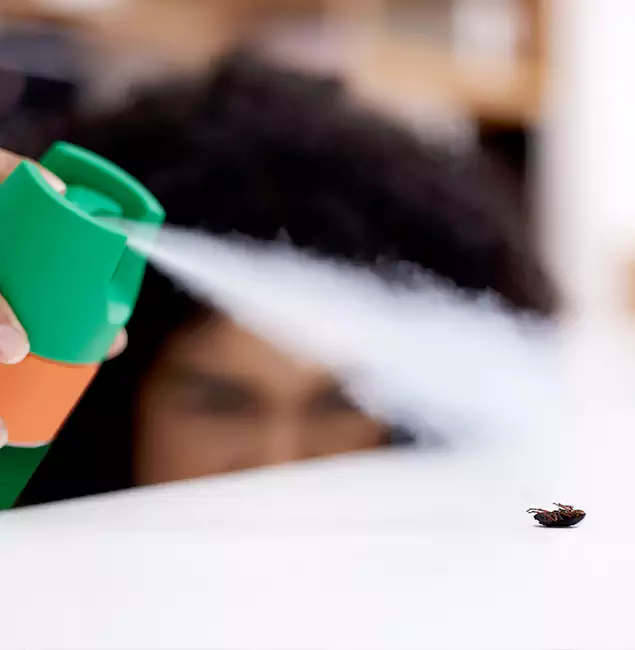 Why Boise, ID Homeowners Choose Boise Pest Control Services for Roach Pest Control?
