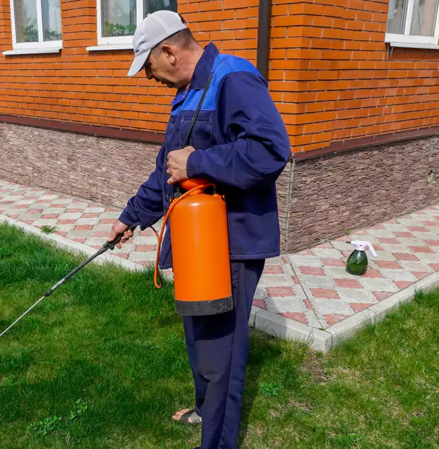 Why Choose Boise Pest Control Services for Soil Treatment in Boise, ID?