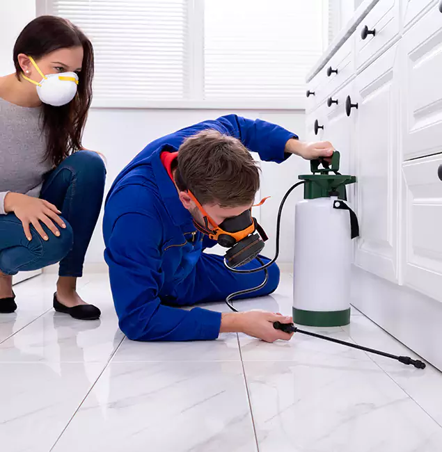 Why Choose Boise Pest Control Services for Termite Inspection Cost in Boise, ID?