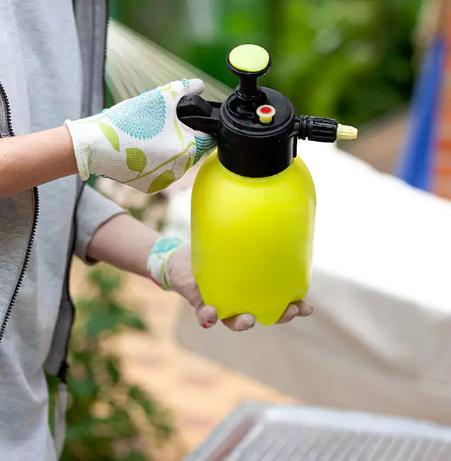 Why Choose Us: Boise Pest Control Services Termite Spraying Experts in Boise, ID?